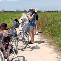 Tra Que Biking Tour And Hoi An Cooking Class Daily Tour