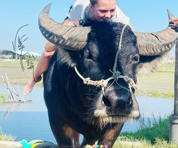 Hoi An Wet Rice Growing Tour